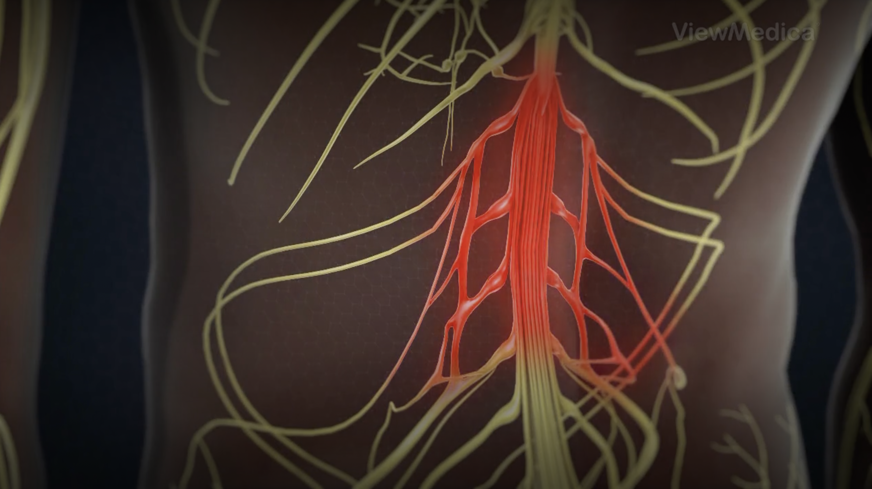 Lumbar Pain / Lower Back Pain Thumb
